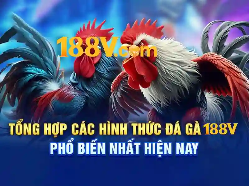 Khả năng tương tác và bảo vệ an toàn