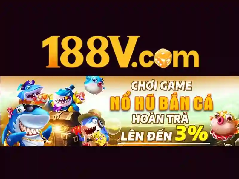 Kết luận và suy ngẫm về 188v