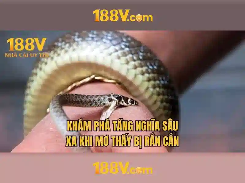 Đăng Nhập