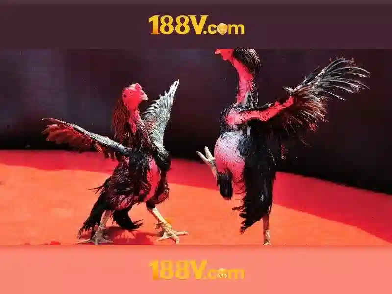 Soi kèo hiệp 1