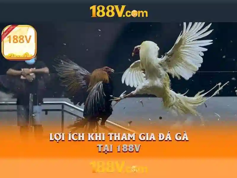 Khởi nguồn và mục tiêu của 188v