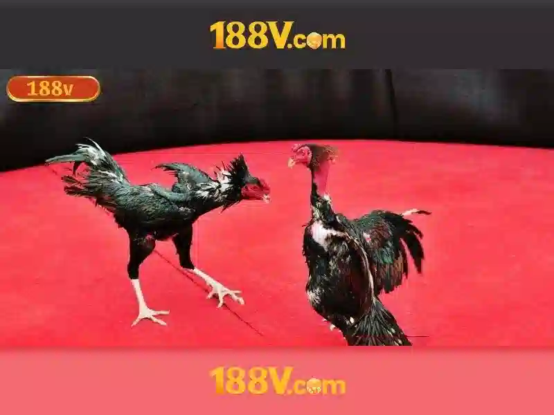 đăng nhập 188v – Trải nghiệm và lợi ích cho cộng đồng 188v 1 Đăng Nhập