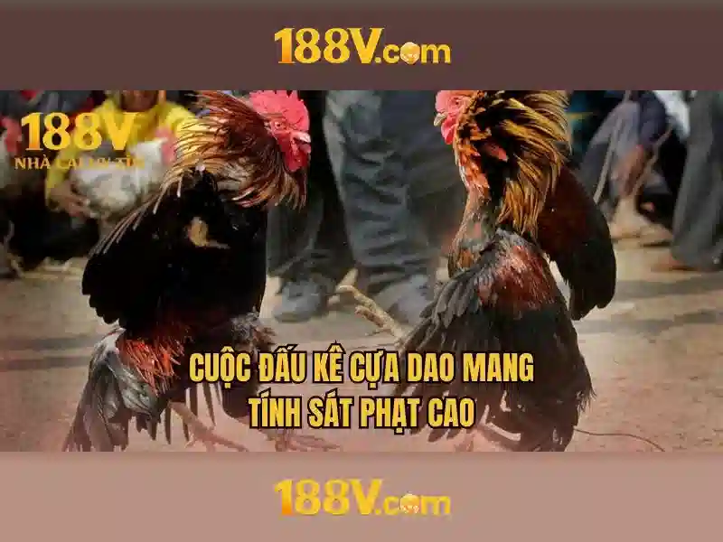 Đăng Nhập