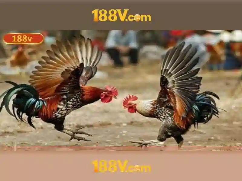  trien vong phat trien va tam nhin tuong lai\n\n<h2>Tong ket va loi moi trai nghiem</h2>\n<p>Tong ket, tai app 188v dong vai tro la canh cua dan nguoi dung vao the gioi cua eSports và cac hoat dong cua nha cai 188v. Voi su ket noi muot ma, an toan va cac uu dai hap dan, trai nghiem tai app 188v mang lai loi ich cho nguoi choi tu nguoi moi cho toi nguoi choi lau nam. Hay tai app 188v ngay hom nay, tham gia cong dong va trai nghiem nhung tinh nang noi bat, tu xem tran dau den nhan khuyen mai va danh gia tai app 188v tren tung phien ban cap nhat.</p>\n<p>Chung toi mong duoc chao don ban gia nhap hanh trinh nay va cam ket mang lai nhung cai tien lien tuc, de mot nen tang di dong giai tri ngay càng phong phu, an toan và than thien voi nguoi ham mo eSports 188v.</p>