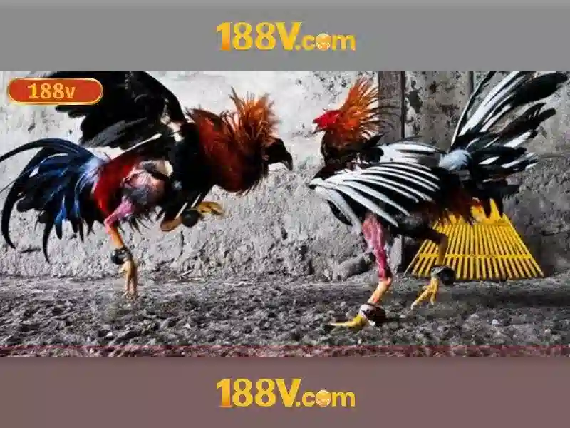 Soi kèo hiệp 1