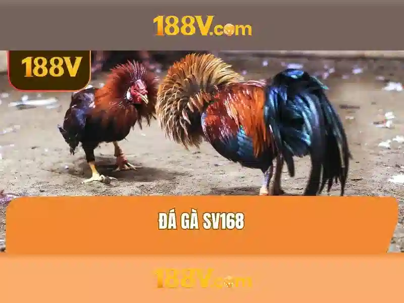Soi kèo hiệp 1