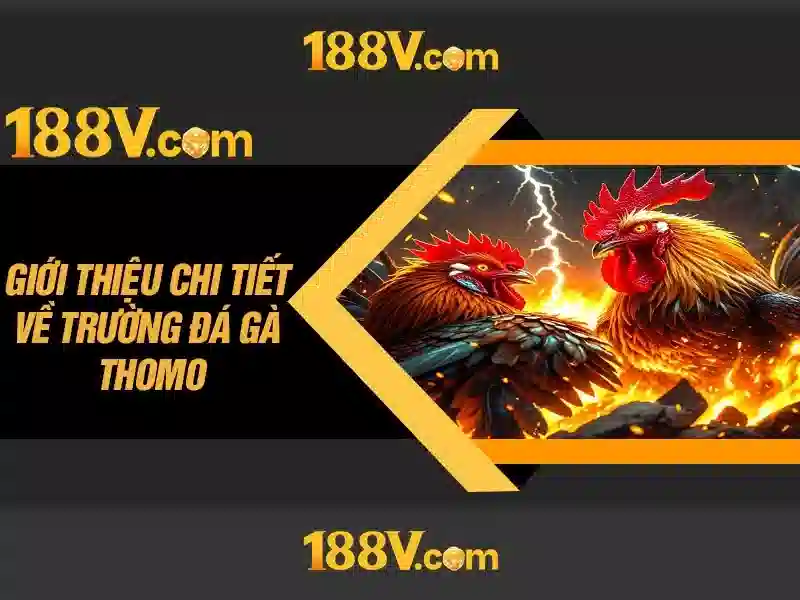Đăng Nhập
