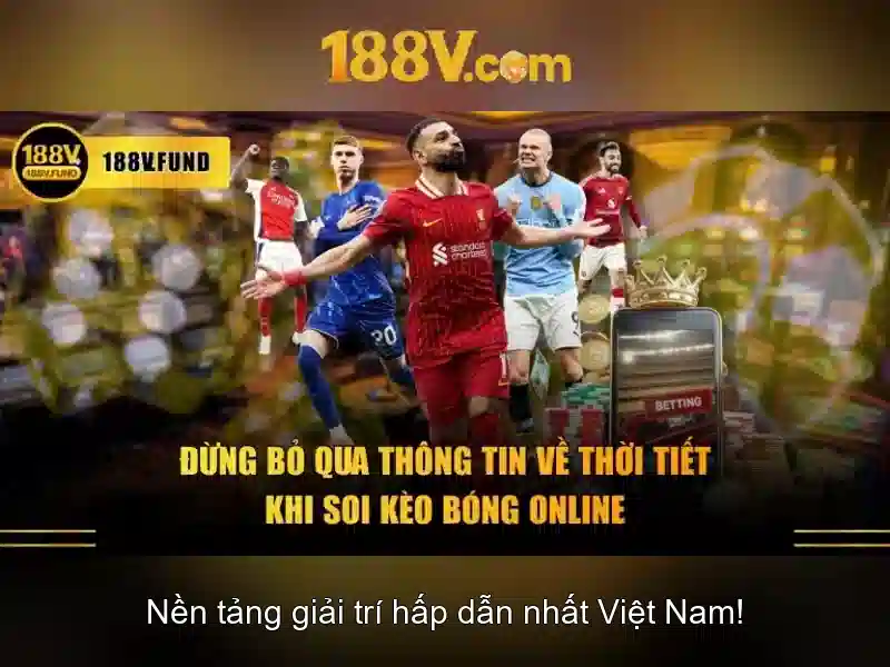 Khám phá đồ họa và dữ liệu