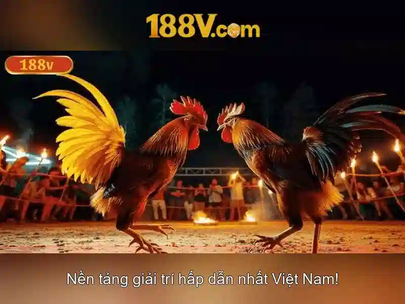 Khung cảnh mở đầu của 188v