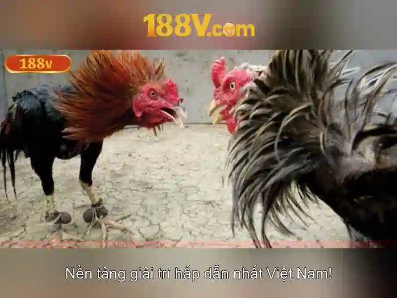 Soi kèo hiệp 1