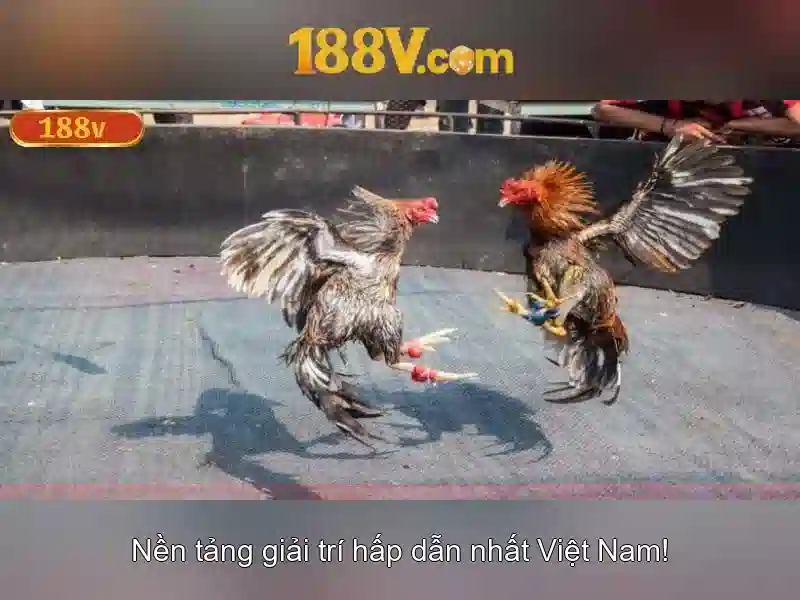 Ưu thế và cạnh tranh của 188v