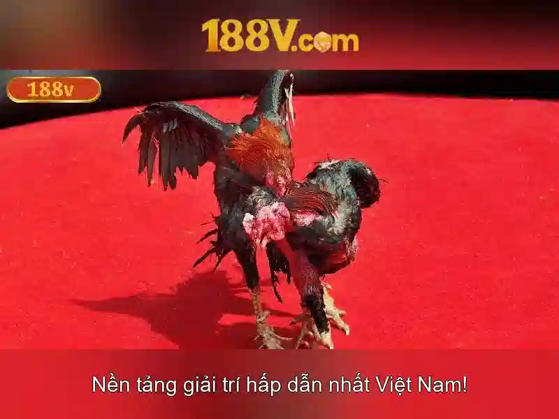 Triển vọng tương lai của 188v