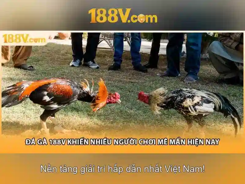 Nguồn gốc và ý nghĩa